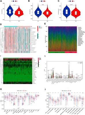 Construction of five cuproptosis-related lncRNA signature for predicting prognosis and immune activity in skin cutaneous melanoma